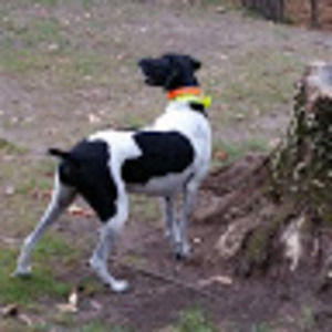 Meet your Posher, K.